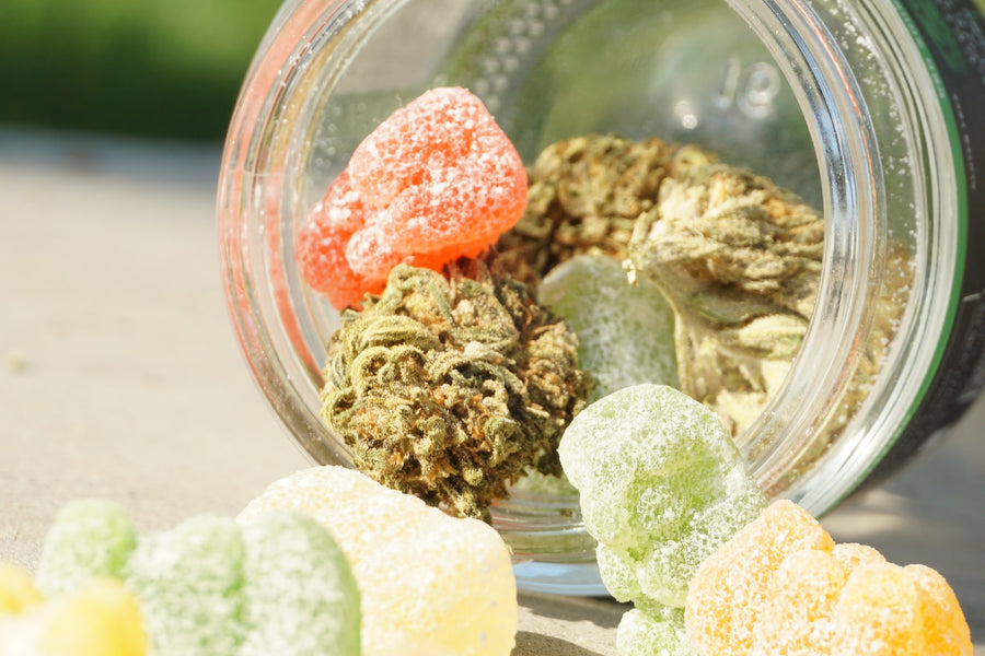 Satisfy Your Taste Buds and Enhance Well-being with CBD Gummies