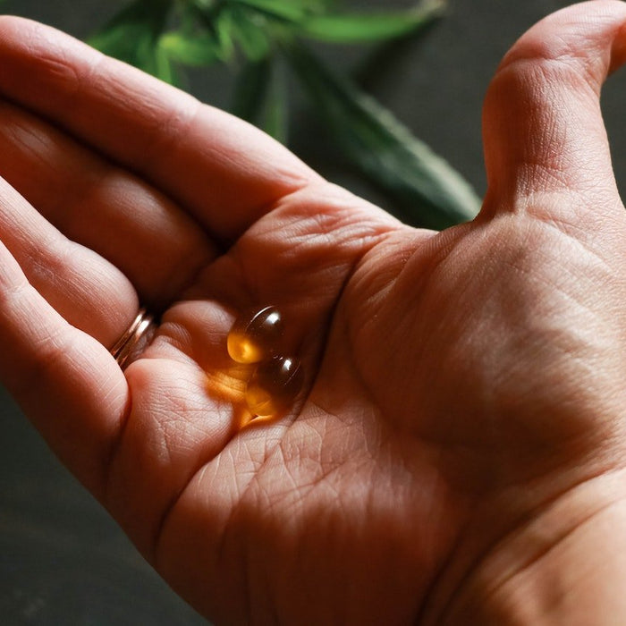 Uncover the Advantages and Versatility of Broad-Spectrum CBD Soft Gels - Kannabliss Exotics