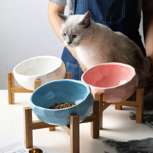 Pet bowl oblique mouth cat bowl food bowl dog bowl method bucket food bowl - Kannabliss Exotics