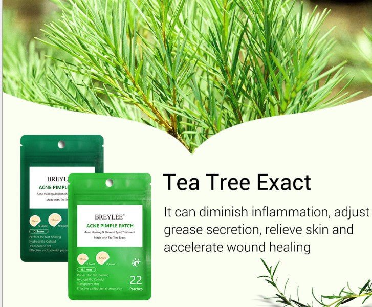 Tea Tree Acne Patch Fades Acne Marks and Ultra - thin - Kannabliss Exotics